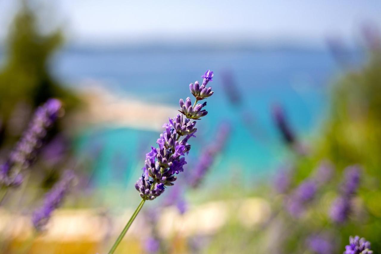 Blue Bay Residence Hvar Town Kültér fotó